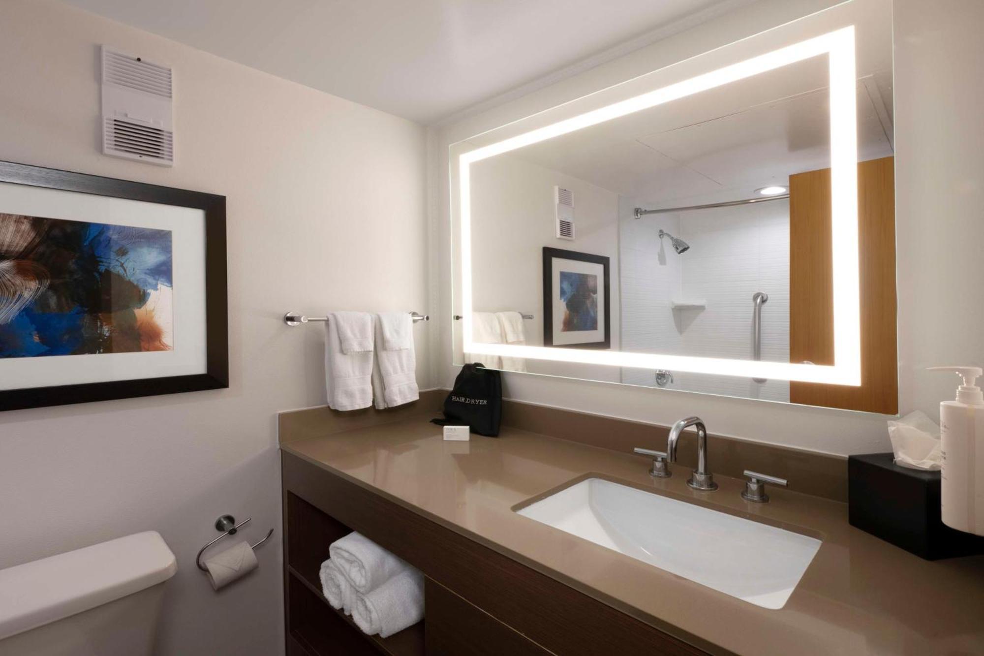 Embassy Suites Dallas - Dfw International Airport South Irving Bagian luar foto